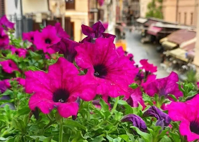 Il Rosone Luxury B&B